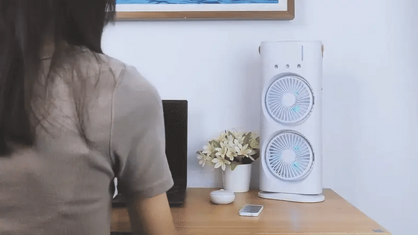 Double Ended Spray Fan